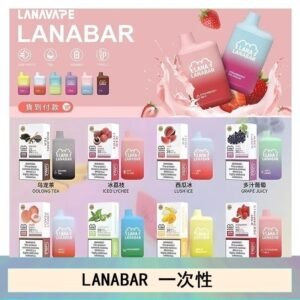 LANA BAR可充电一次性電子煙霧化5000口(3.0%)