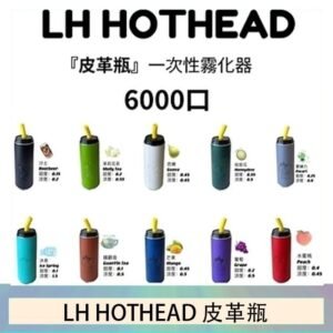 LH HOTHEAD皮革瓶電子煙可充電6000口一次性