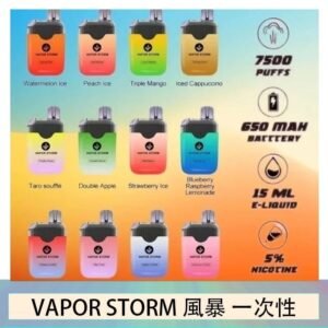 Vapor Storm風暴電子煙7500口（5%）一次性